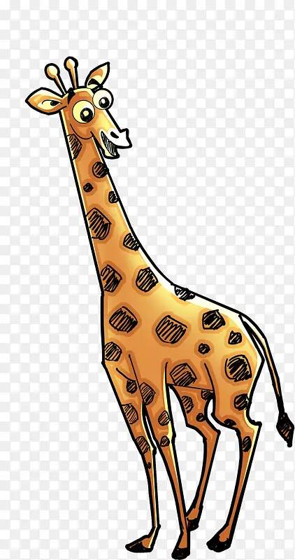 ��ͨ����-������