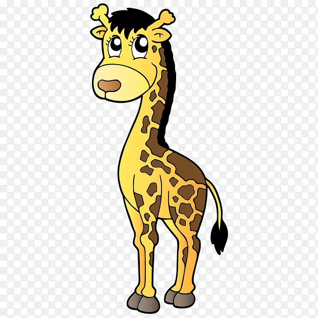 ��ͨ����-������