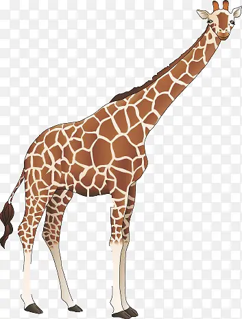 ˮ�ʳ���¹-������