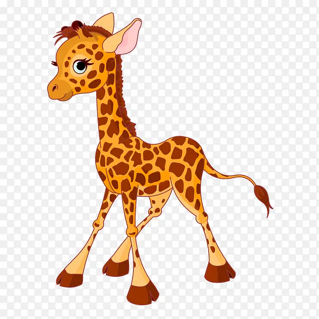 ��ͨ����-������