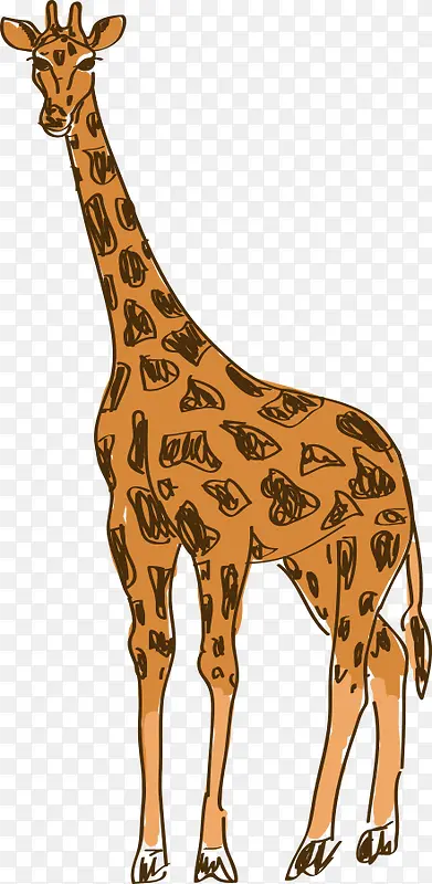 ��ͨ�ֻ泤��¹-������