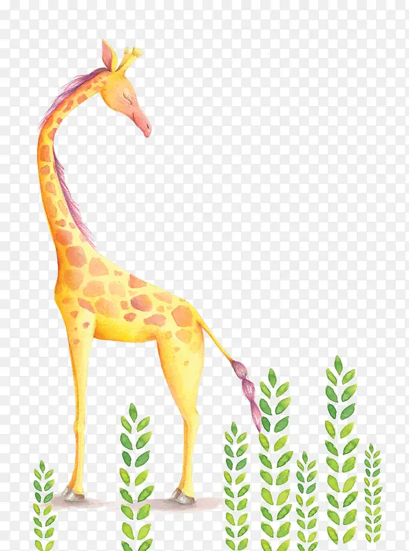 �ֻ濨ͨ-������