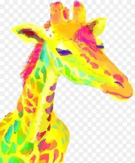 ����¹-������