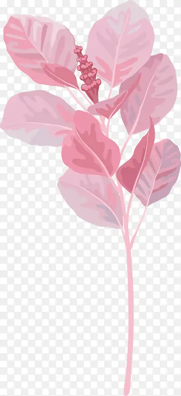 ��ͨˮ��Ҷ��װ��-������