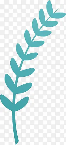 ��ͨ��Ҷ����֦-������