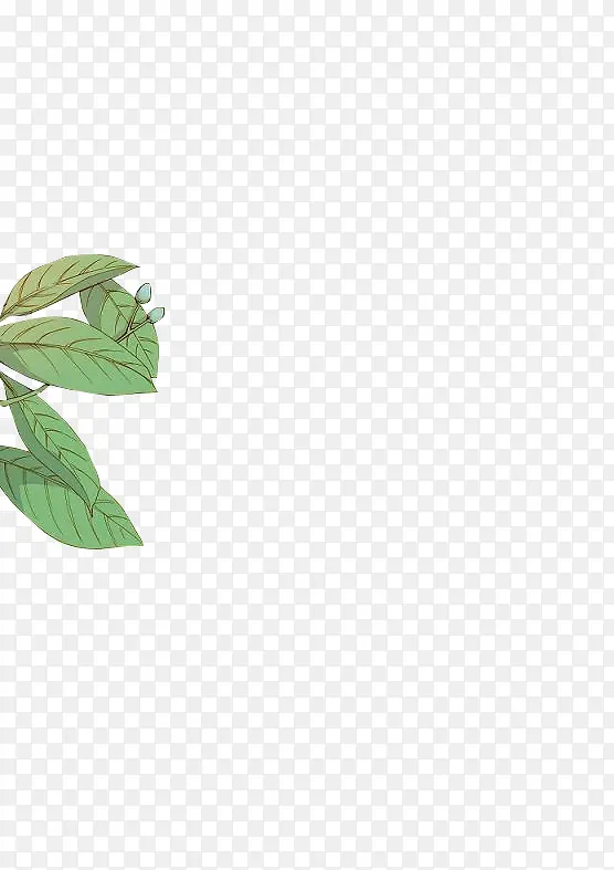 ��ɫҶ���ֻ�Ҷ�ӿ�ͨҶ��-������