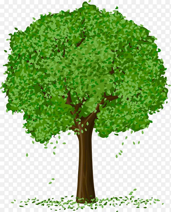 ��ͨ����ɫҶ��-������