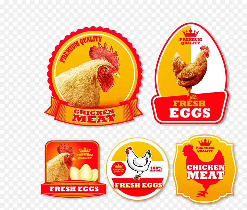 ��ǩ-������