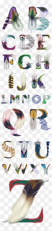 ��ɫ��ëӢ����ĸ-������