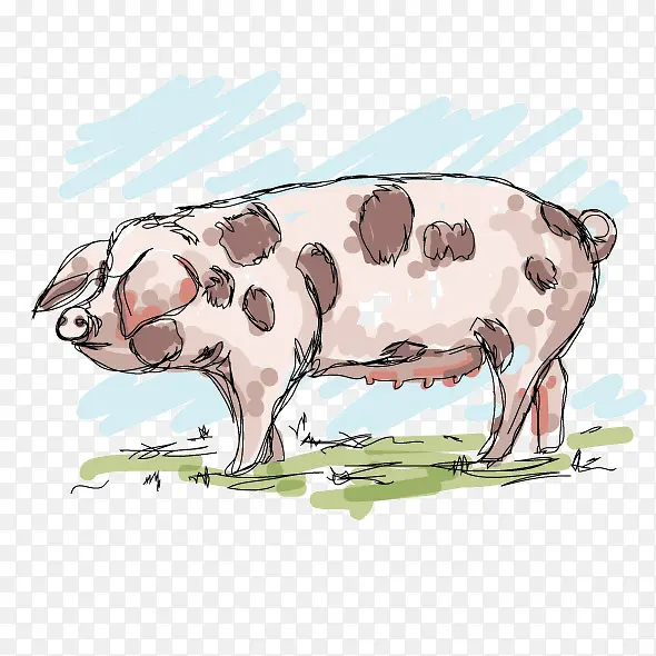 ˮ��С��-������