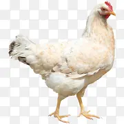 ��-������