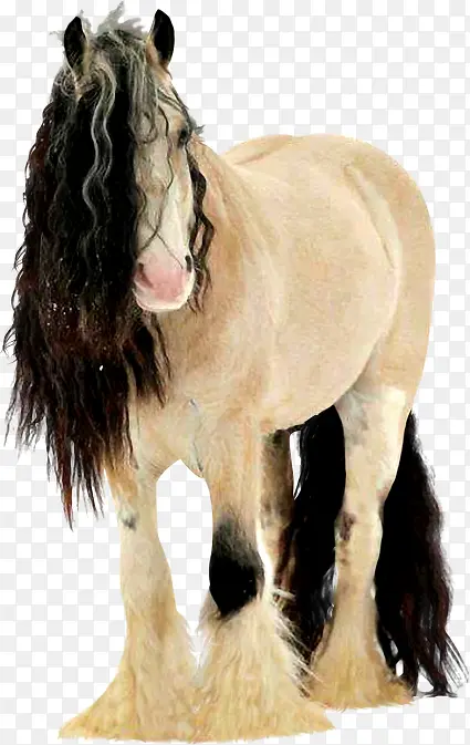 ˮ��С��-������