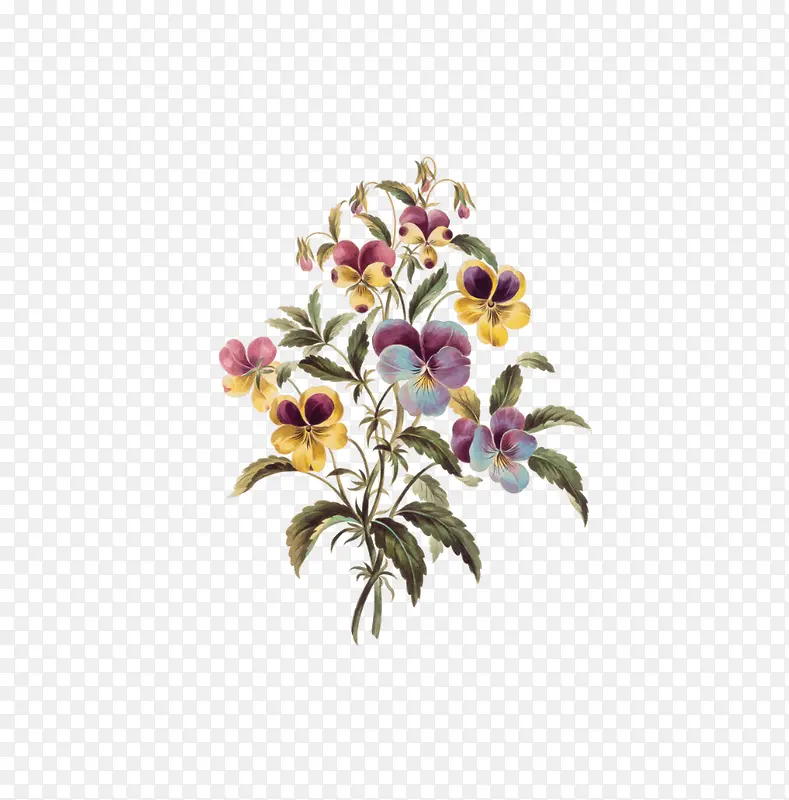 �ʻ�������-������