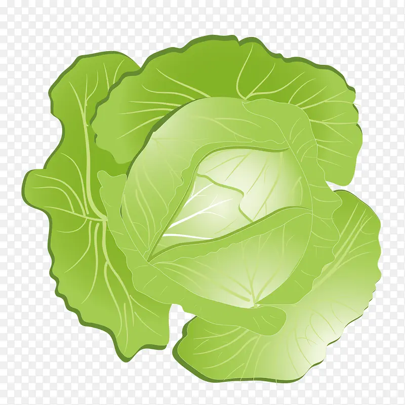 �����߲˰ײ�-������