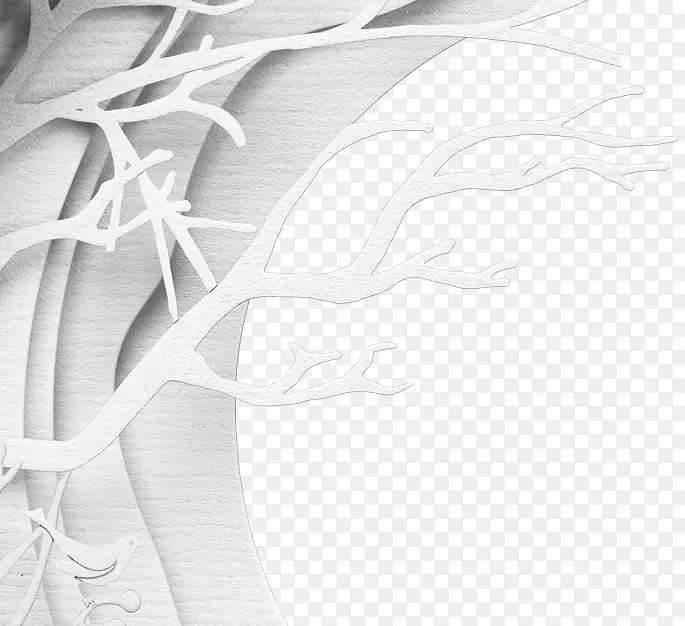 ��ɫʥ����֦����-������