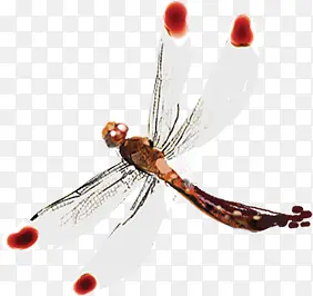 �ֻ�Ψ����ɫ����-������