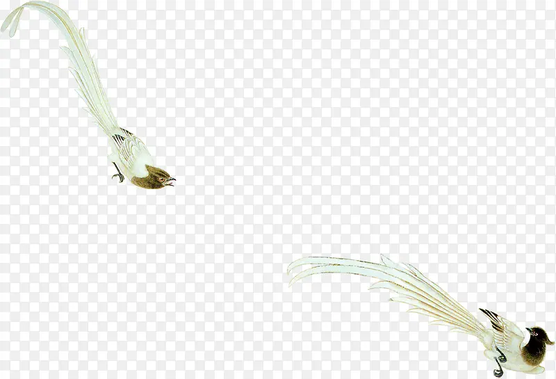 ��ɫ���Ψ���滭-������