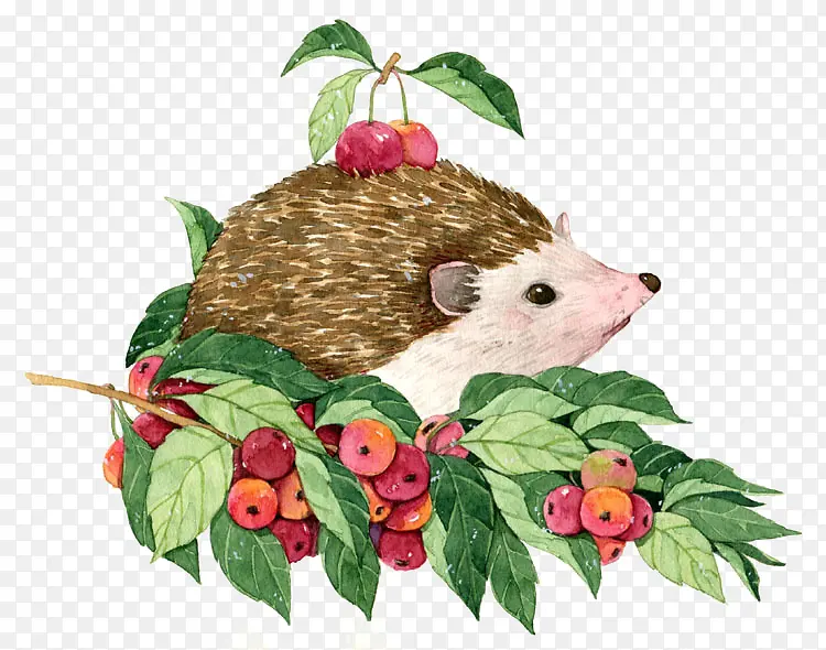 ��ɫ��⬻���ͼ��-������