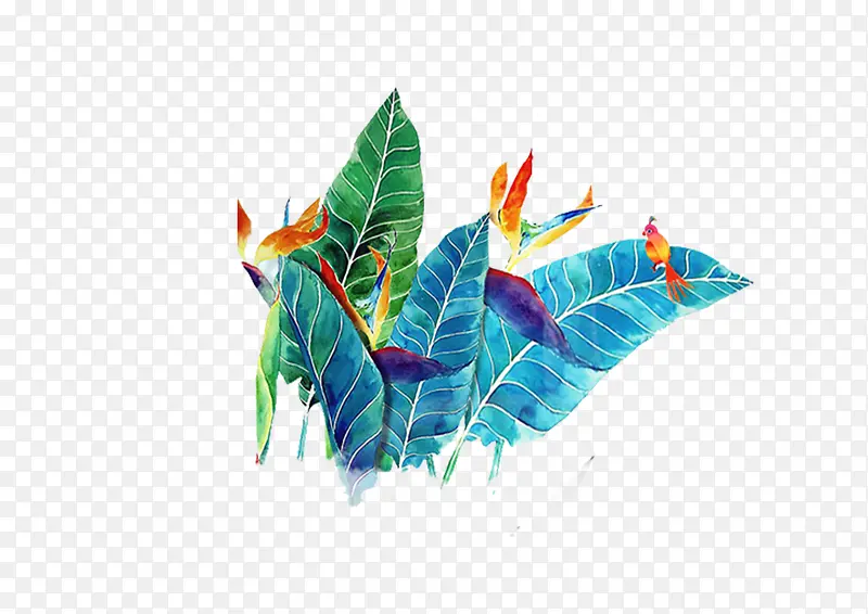 ��ɫҶ��-������