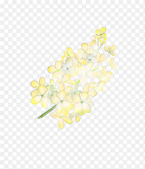 ��ɫ�ֻ�Ļƻ�-������