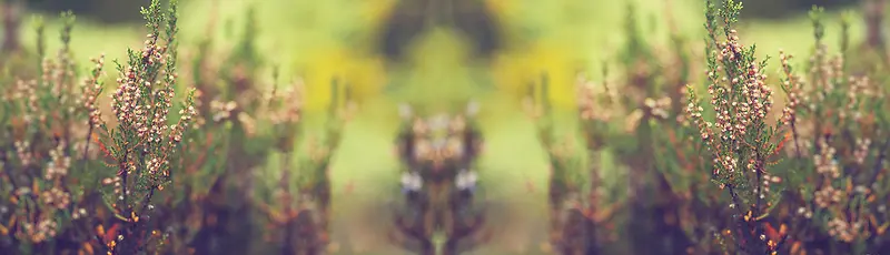 ��������-������