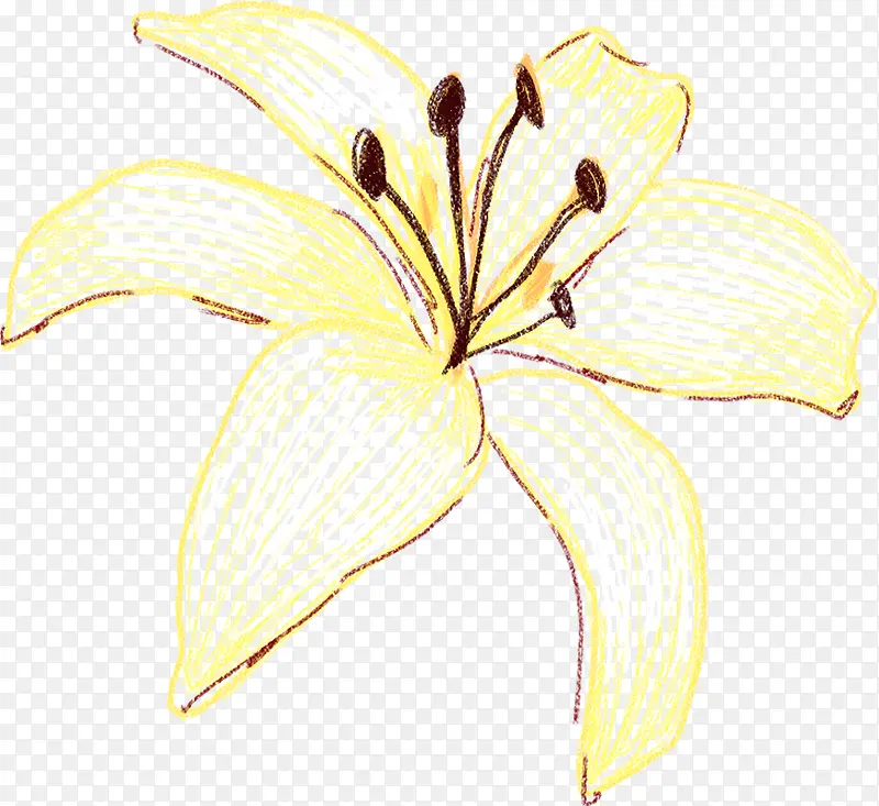 �ֻ��ɫ����ˮ��С��-������