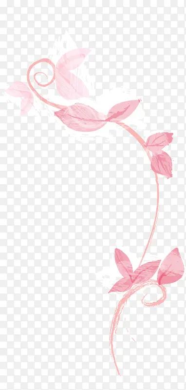 ʸ��ˮ��ֲ��ҶƬ-������