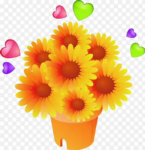 ��ɫ��ͨ�ʻ����䰮��-������