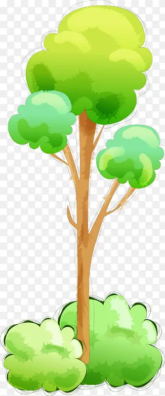 �ֻ���ľ����ʸ��ͼ-������