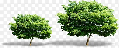 ��-������