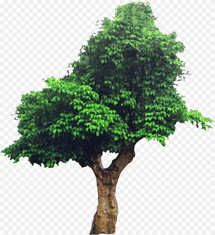 ��-������