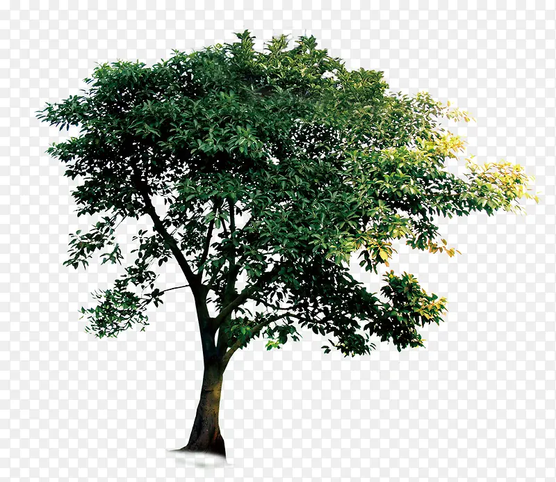 ��-������