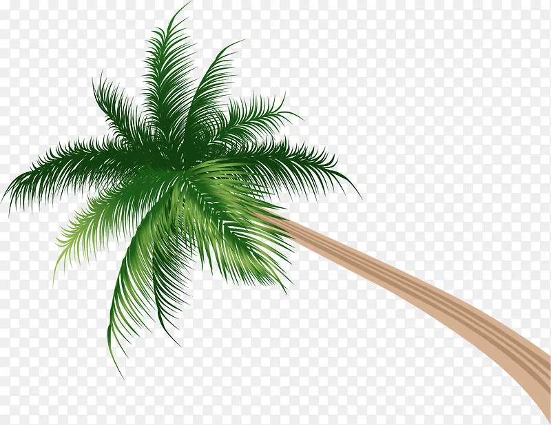 ����������-������