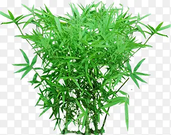 ���崴����Ӱ��ɫ��ľ���-������