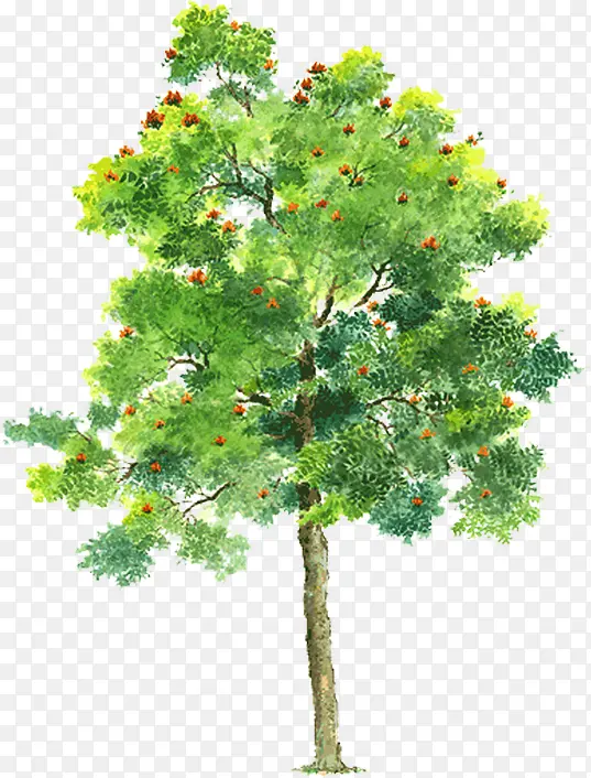 ���崴����Ӱ��ɫ��ľ-������