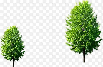 ��ɫ��ľ������Ӱ����ϳ�-������