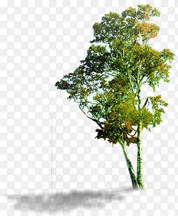 ������Ӱ��ɫ��ľ�ϳ�Ч��-������