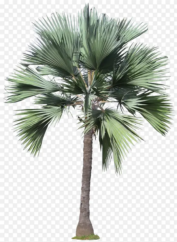 ��ɫ��ľ�Ž���װ��-������