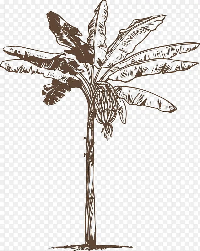 ���������-������