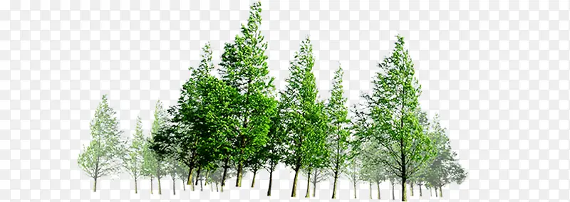 ������Ӱ��ɫ����ľЧ��-������