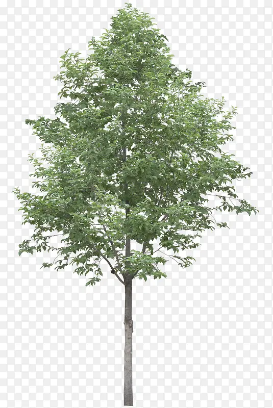 ����-������