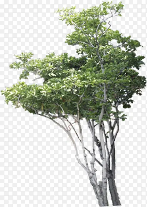 ��������������Ч����ͼ-������