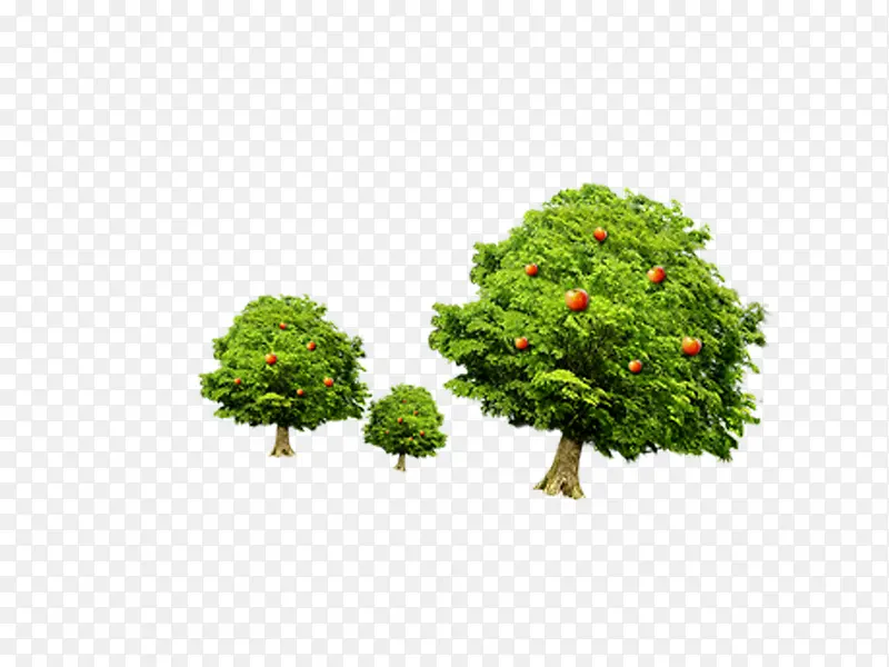 ����-������