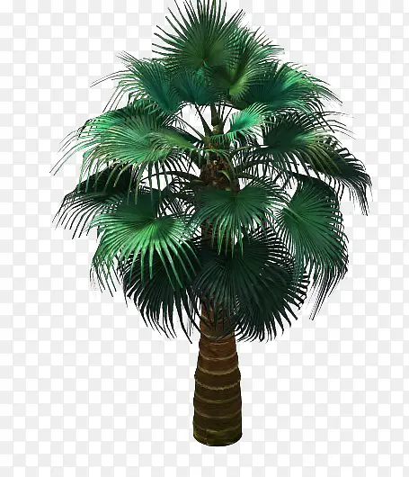 ��-������