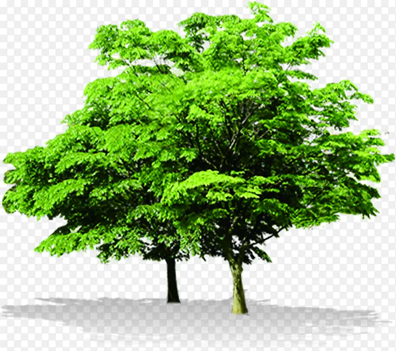 ��ɫ�����������-������