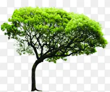 ���������̻�����-������