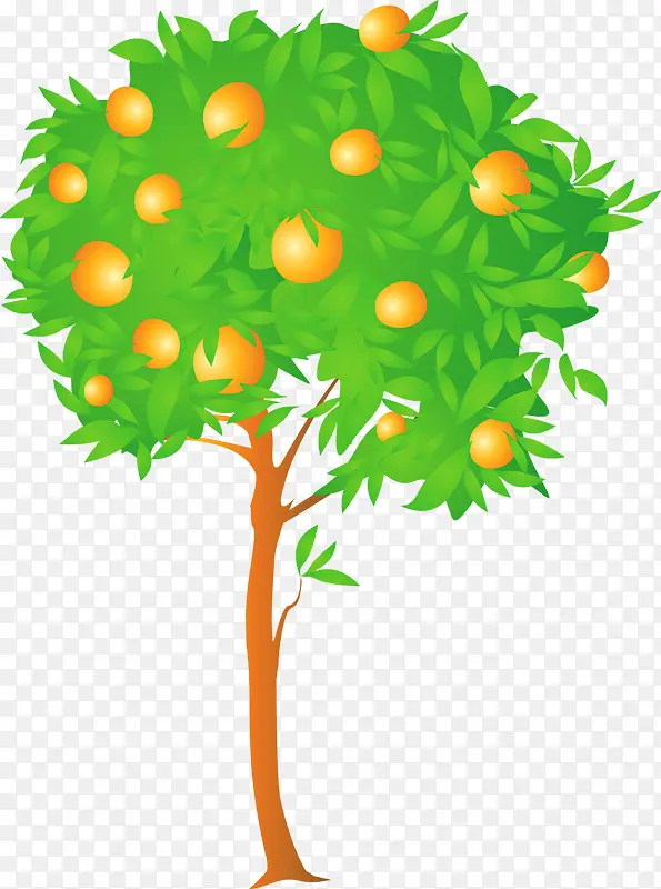 ������ʵ��ľ�ֻ�-������