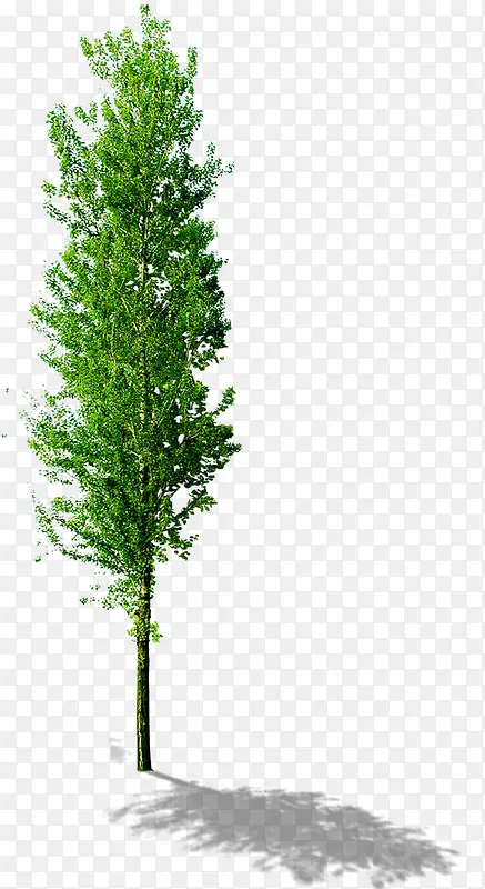 ����������ľ԰��-������