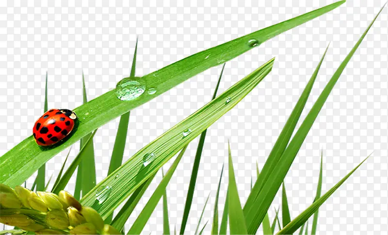 ����¶��������ţ-������