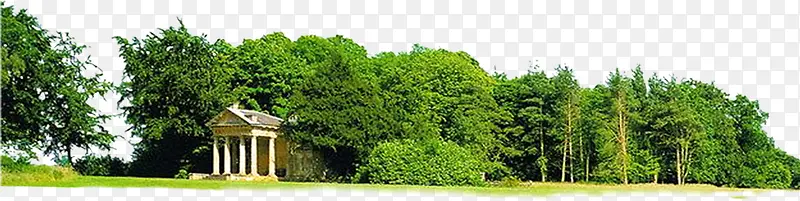 ����԰�־�������-������